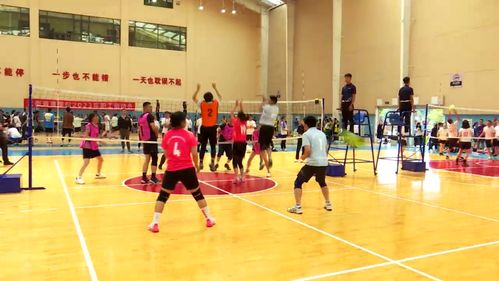 科技賦能，全民健身 免費開放引領健康新時代