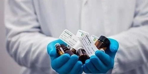 抗疫進行時丨互聯網企業發揮信息服務優勢支撐抗疫藥品信息服務