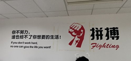 互聯網藥品信息服務資格證 上海與深圳的申請與管理差異解析